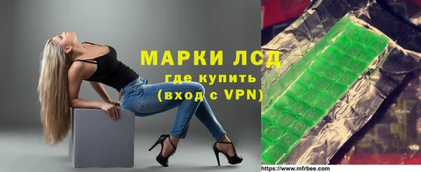 индика Алзамай