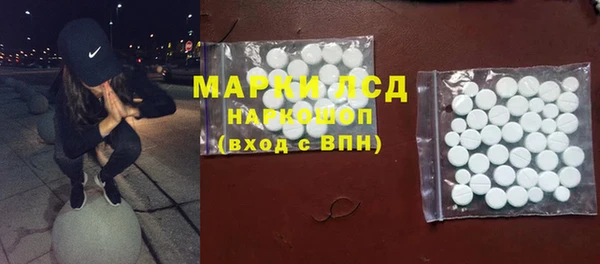 индика Алзамай