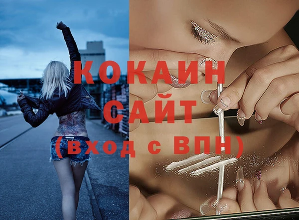 индика Алзамай