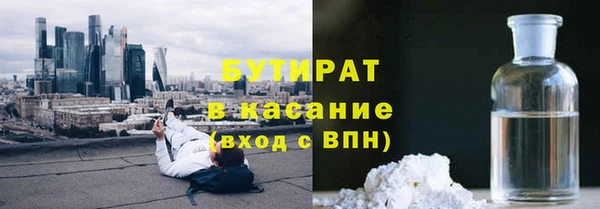 индика Алзамай