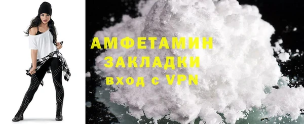 индика Алзамай