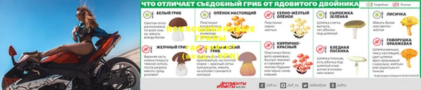 индика Алзамай