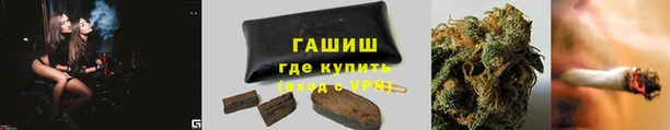 индика Алзамай